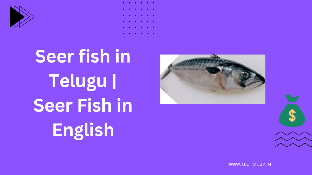 Best {2023} Seer fish in Telugu | Seer Fish in English | Seer Fish in ...