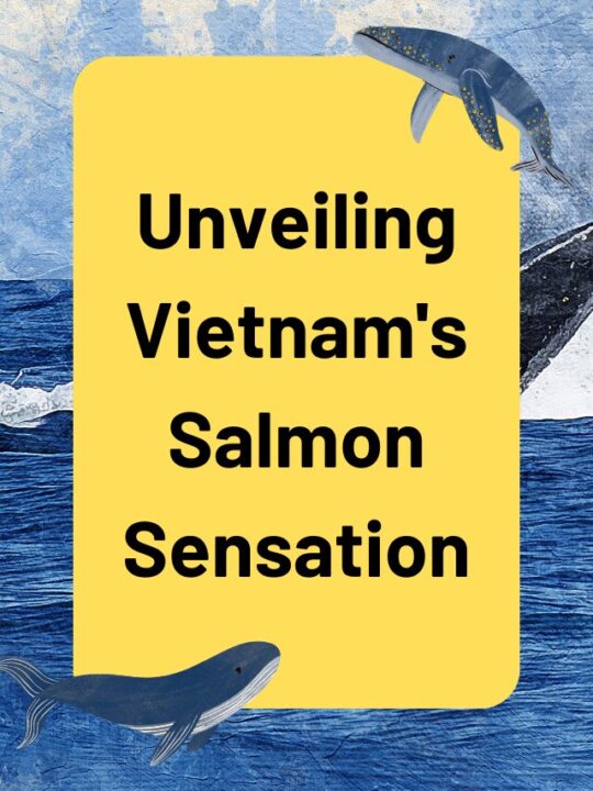 Unveiling Vietnam’s Salmon Sensation